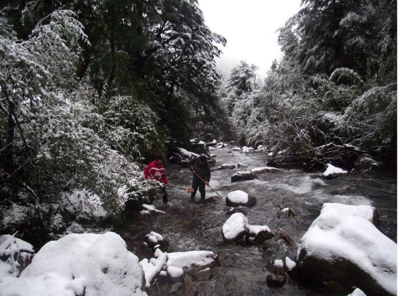 Sampling in non-Antofagasta conditions